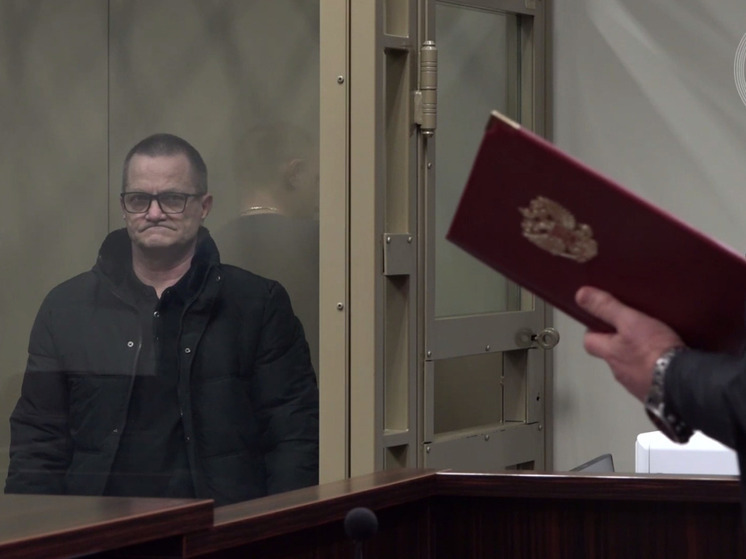Сочинца осудили за государственную измену