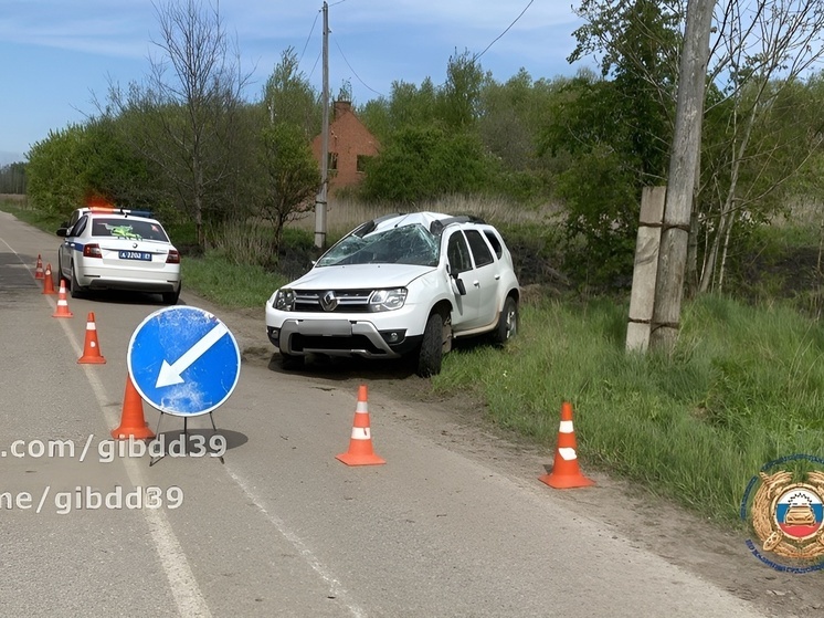 В Немане водитель попал в аварию, пытаясь не сбить животное