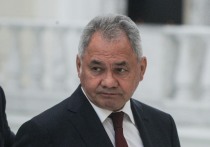 Секретарь Совета безопасности РФ Сергей Шойгу высказал предположение, что в Европе, "видимо, забыли, кому они обязаны своим освобождением от фашистских захватчиков 80 лет назад"