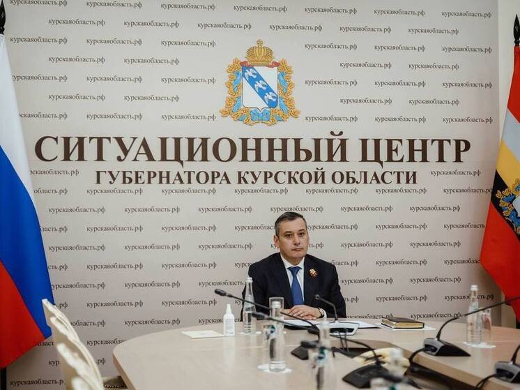 Хинштейн: СК РФ завёл 479 уголовных дел из-за преступлений ВСУ в Курской области