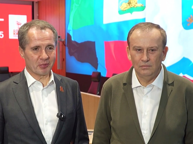 Приграничные регионы: главы Белгородской и Ленинградкой областей обсудили сотрудничество