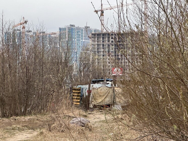 Бомжи строят «город трущоб» у ЖК бизнес-класса Lotos Club