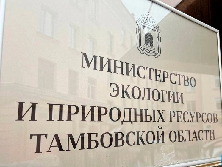 В Тамбовской области начался прием заявок на охоту на кабана