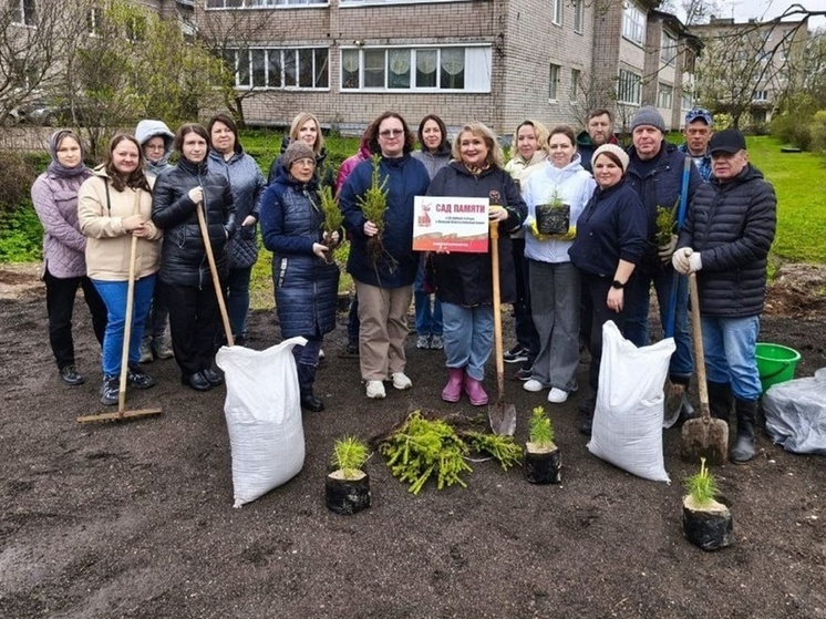 Сотрудники Валдайского суда присоединились к акции «Сад памяти»