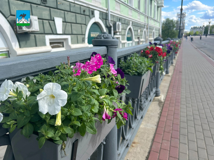 Александровский мост в Орле украсят 600 кашпо с петуниями
