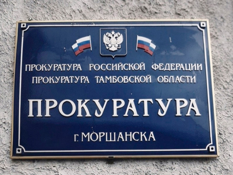 Тамбовская прокуратура передала в суд дело о незаконной вырубке леса на сумму более 6,3 миллиона рублей