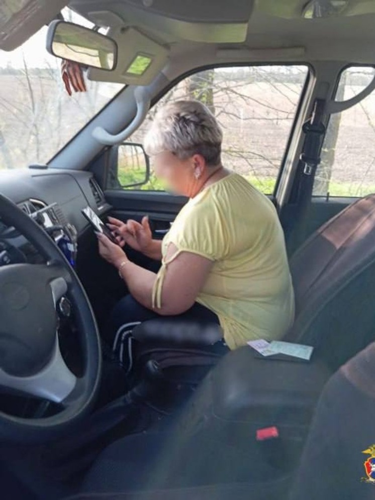 Нетрезвую жительницу Алешек остановили за рулем