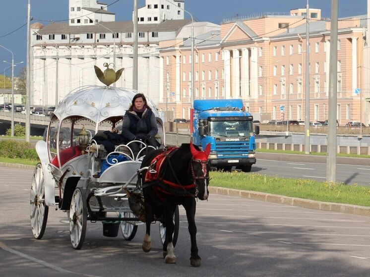 Депутаты задумались о запрете карет на дорогах Петербурга