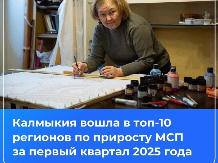 Калмыкия вошла в топ-10 по количеству предпринимателей