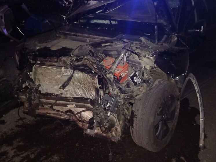 Скончался второй участник смертельного ДТП под Цивильском