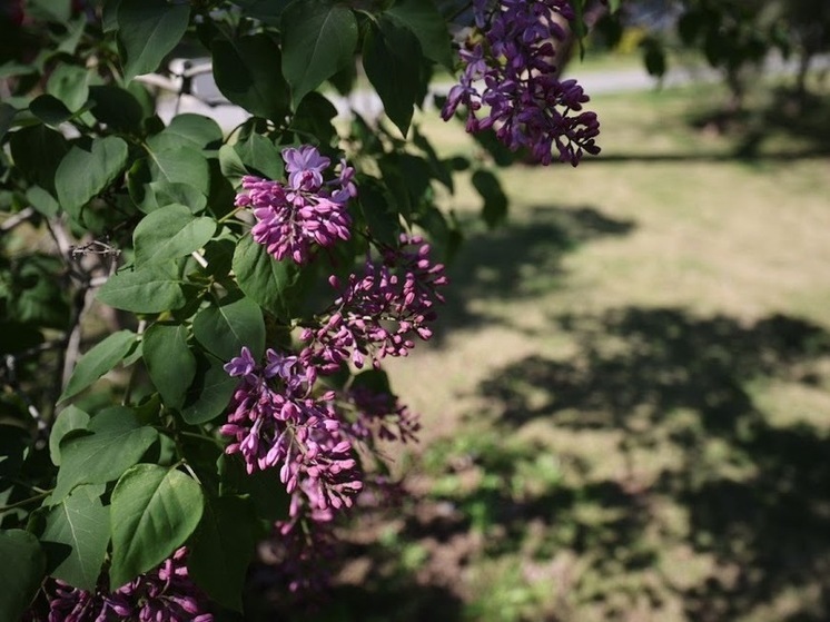 Что не рекомендуется делать 1 мая, в Кукушкин день