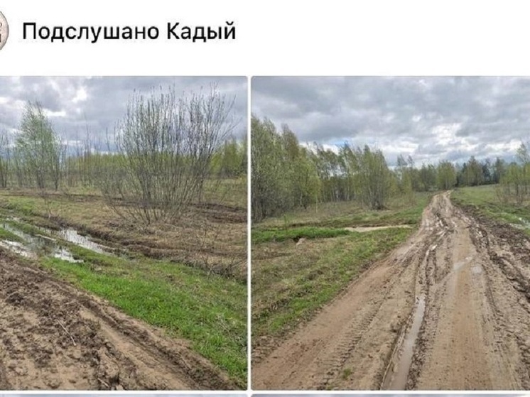 Проезд «скорых» в одну из костромских деревень строго воспрещен