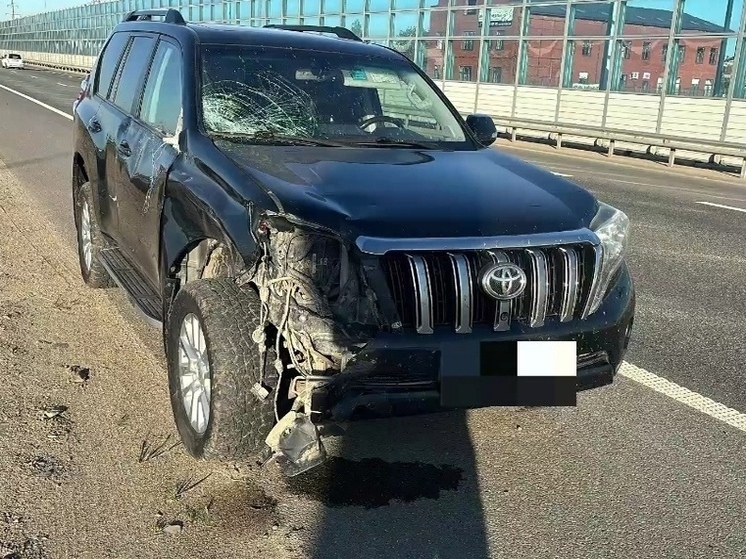 В Краснодаре под колёсами иномарки погиб пожилой велосипедист