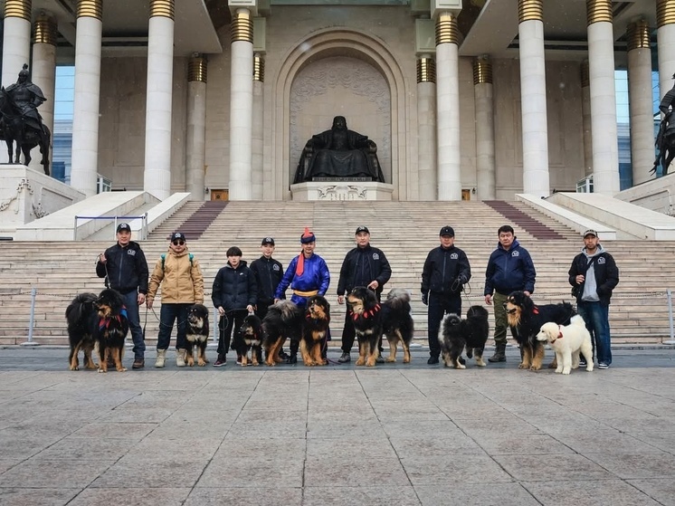 Популярную в Бурятии породу собак могут официально признать на мировом уровне