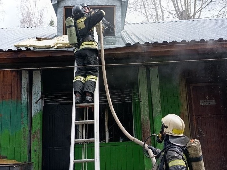 За сутки в Томской области потушили восемь пожаров