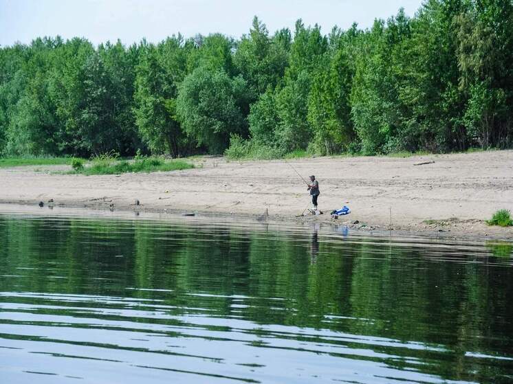 Волгоградцы обсуждают видео трапезы водяного ужа налимом
