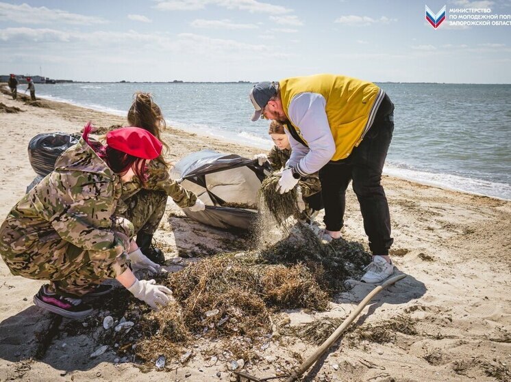 Молодые добровольцы очистили берег «Красной гвоздики» в Запорожской области
