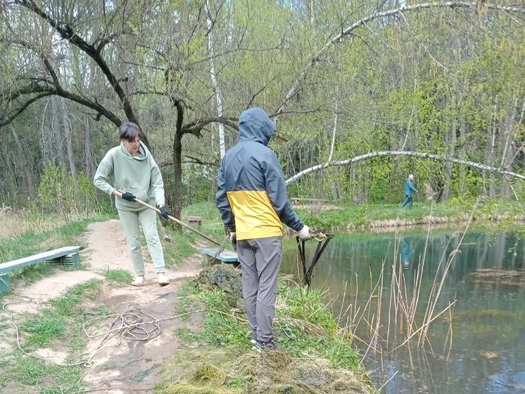 Калужские моржи очистили сероводородные озёра