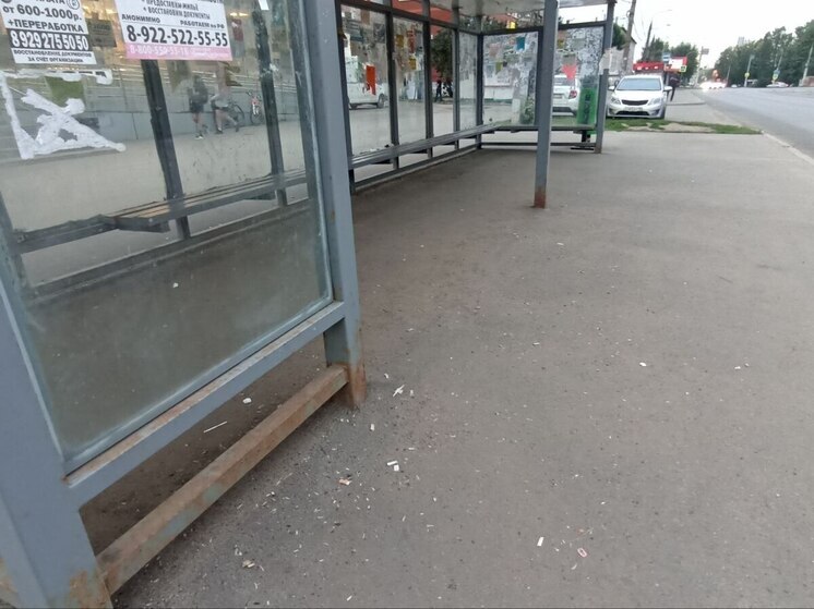 В Петербурге незнакомец пытался похитить 10-летнюю девочку на остановке