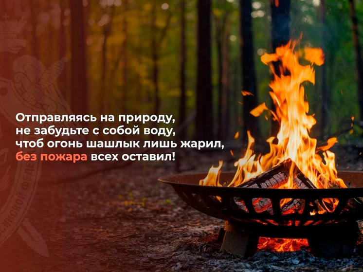 Следственный комитет напомнил тамбовчанам о правилах безопасности в сезон пикников