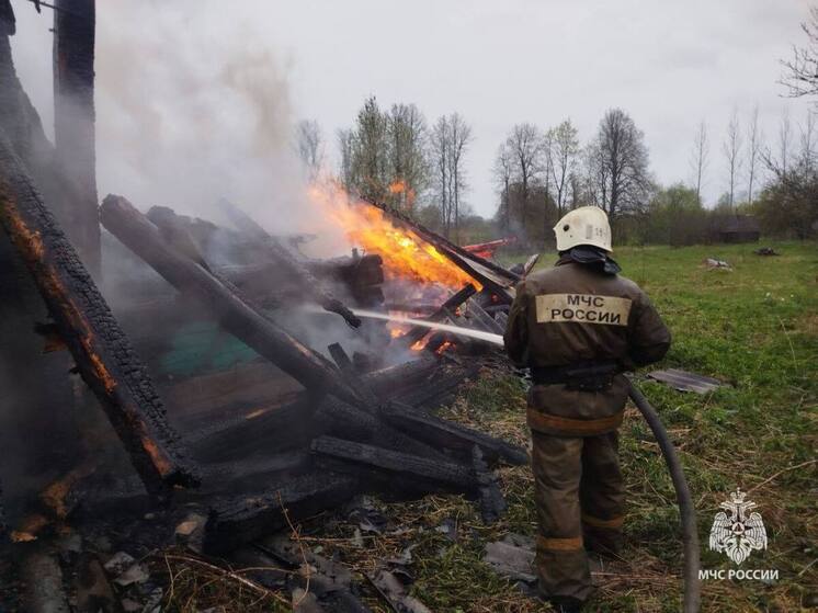 В Солецком округе пожарные спасли жилой дом от полыхающего в 10 метрах огня