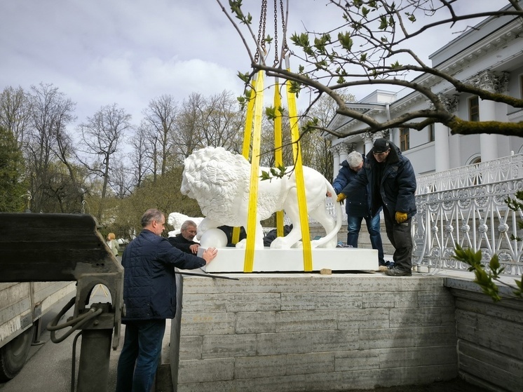 На Елагином острове в Петербурге скульптуры львов вернулись чистыми и опрятными