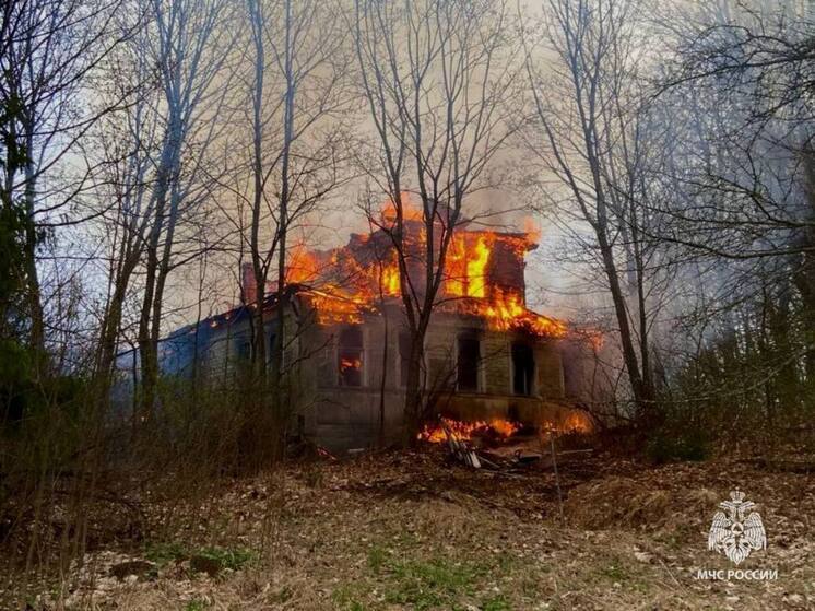 Огонь едва не уничтожил жилой дом в деревне Богослово