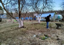 Майские праздники — это время шашлыков, солнца, бабушкиных пирогов и гостей. Но не стоит забывать, что дача — это не только отдых, но и работа. Существует несколько простых, но эффективных способов вовлечь детей в уборку на даче, чтобы помощь стала увлекательным занятием для детей и всей семьи. Об этом «МК в Питере» рассказала Юлия Резникова, коуч по стандартам ICF, мама.