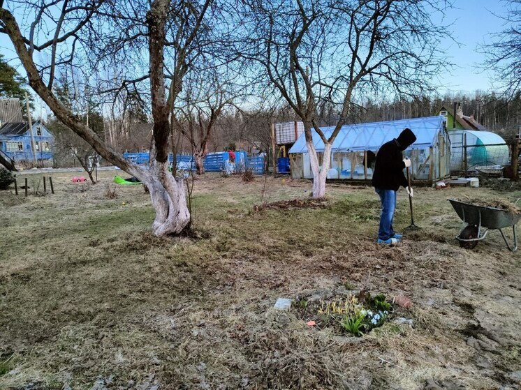 Майские праздники — это время шашлыков, солнца, бабушкиных пирогов и гостей. Но не стоит забывать, что дача — это не только отдых, но и работа. Существует несколько простых, но эффективных способов вовлечь детей в уборку на даче, чтобы помощь стала увлекательным занятием для детей и всей семьи. Об этом «МК в Питере» рассказала Юлия Резникова, коуч по стандартам ICF, мама.