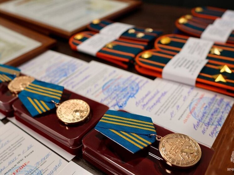 Запорожские спасатели удостоены государственных наград