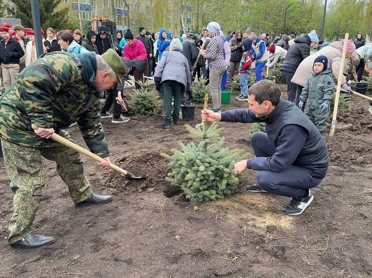 В память о героях в татарстанском Менделеевске посадили ели