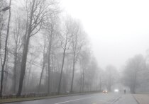 Сегодня, 1 мая, с 17:00 возобновится движение по автомобильной дороге Никель – Виртаниеми для всех видов транспортных средств в обычном режиме