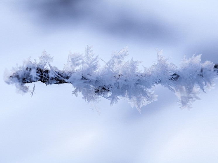 Жителей Башкирии предупреждают о заморозках
