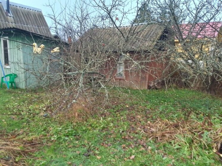 Новгородцам грозит штраф за старый диван на дачном участке