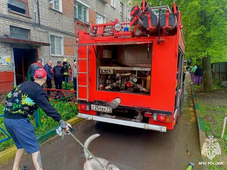 Тульские пожарные спасли двух человек из горящего подъезда