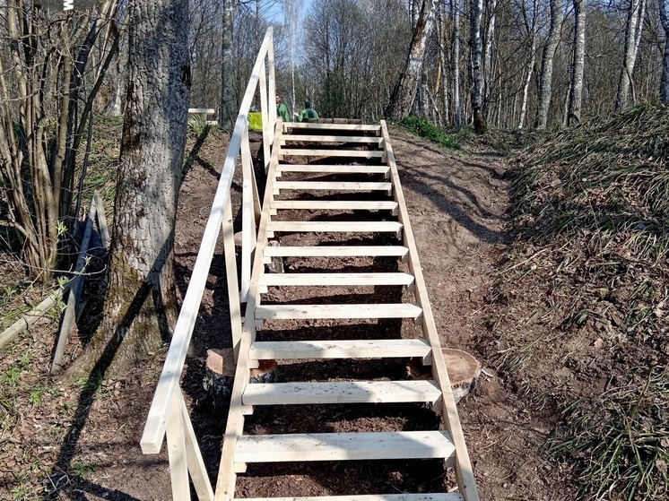 На роднике в Тарусском районе поменяли лестницу