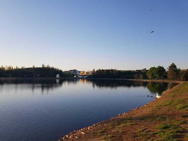 Глава Краснодара напомнил, где в городе можно безнаказанно жарить шашлыки