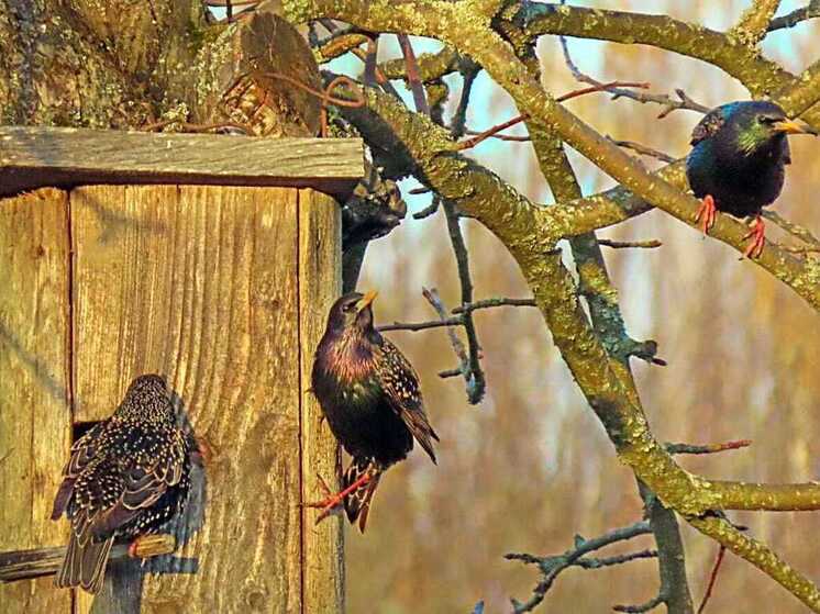 Национальный парк «Угра» заявил об открытии турсезона
