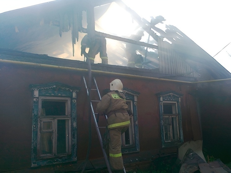 Пожар в Эртильском районе Воронежской области ликвидировали за 7 минут