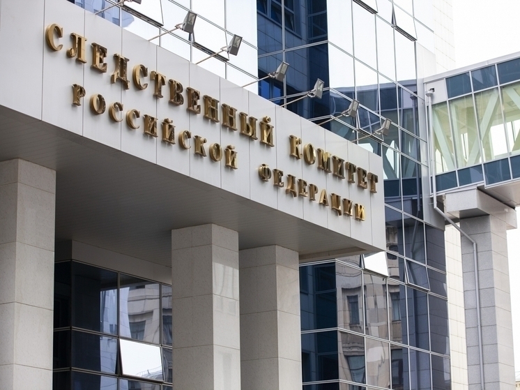Председатель СК запросил доклад после сюжета об обмане курской пенсионерки