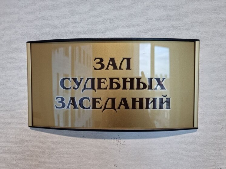 Суд «сжалился» над двумя устроившими драку юными петербургскими хулиганками