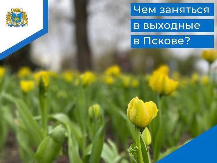 Майские праздники в Пскове: насыщенная программа мероприятий ждет псковичей