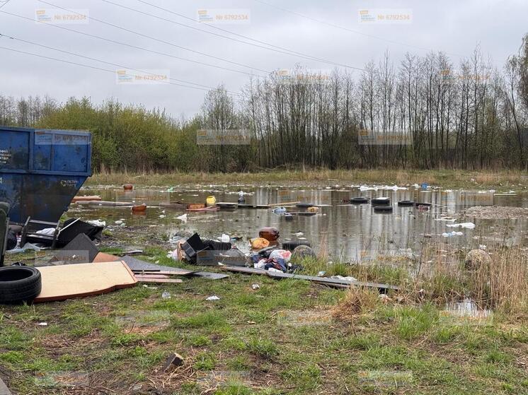 Жители Колпино пожаловались на разбросанный мусор у жилых домов