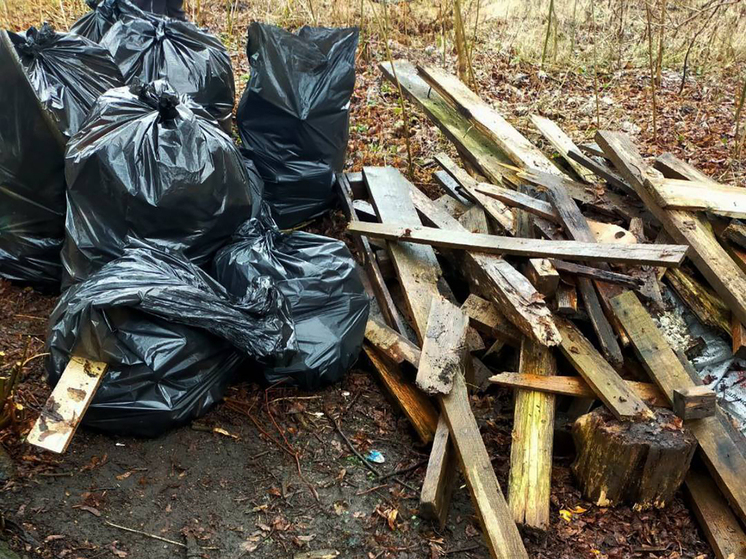 В Зеленоградском районе нашли стихийную свалку строительного хлама