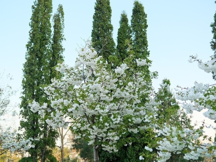 Что нельзя делать 2 мая, в день Ивана Ветрошапочника