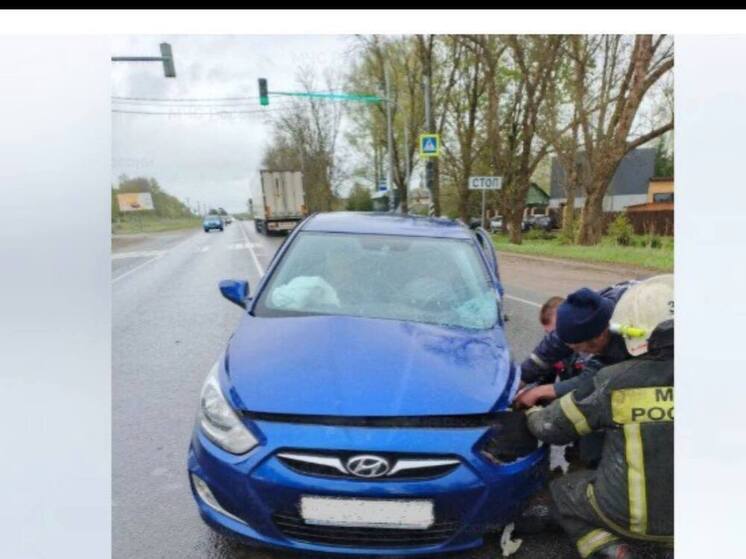 В Смоленске столкнулись три автомобиля