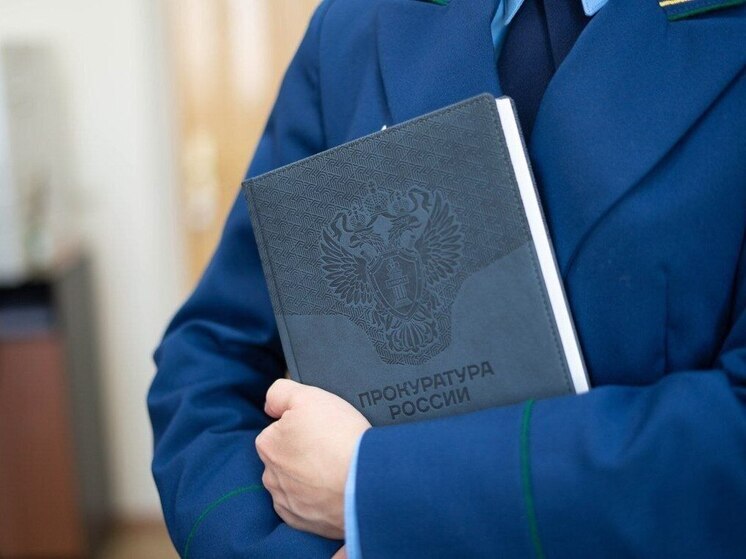 В антитеррористической защите кинотеатра Приамурья нашли брешь