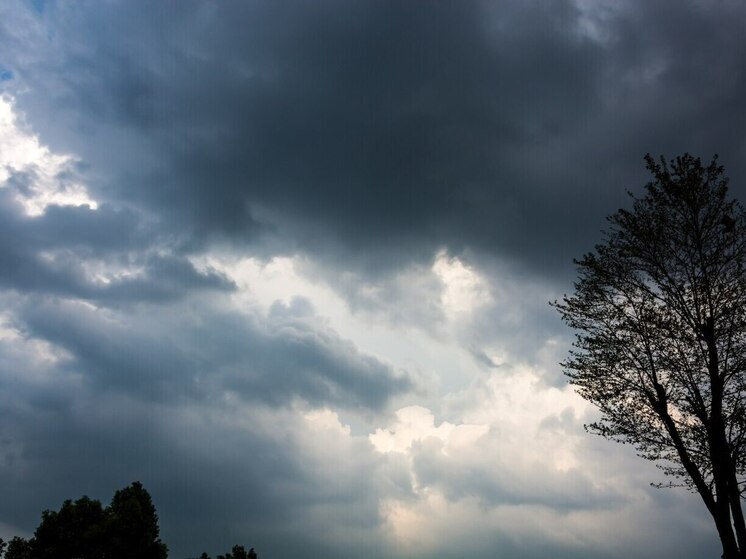 Пасмурную погоду и до 16 градусов тепла обещают в Томске 2 мая