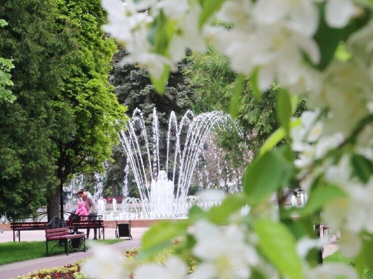 В пятницу, 2 мая, в Воронеже будет не выше 11 градусов тепла