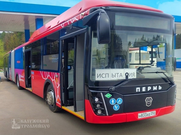 На калужские улицы могут вернуться «гармошки»